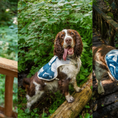 Load image into Gallery viewer, TrailBreeze Cooling Vest