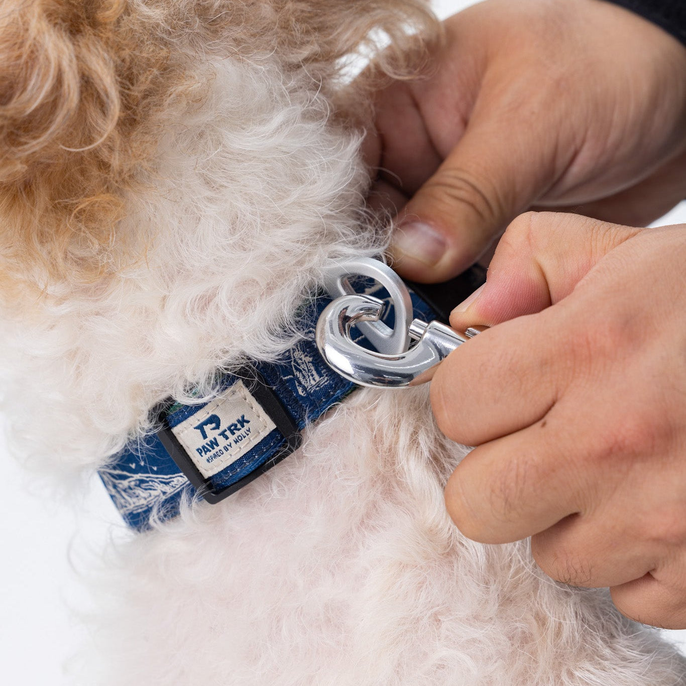EverBark – Dog Collar – Ocean