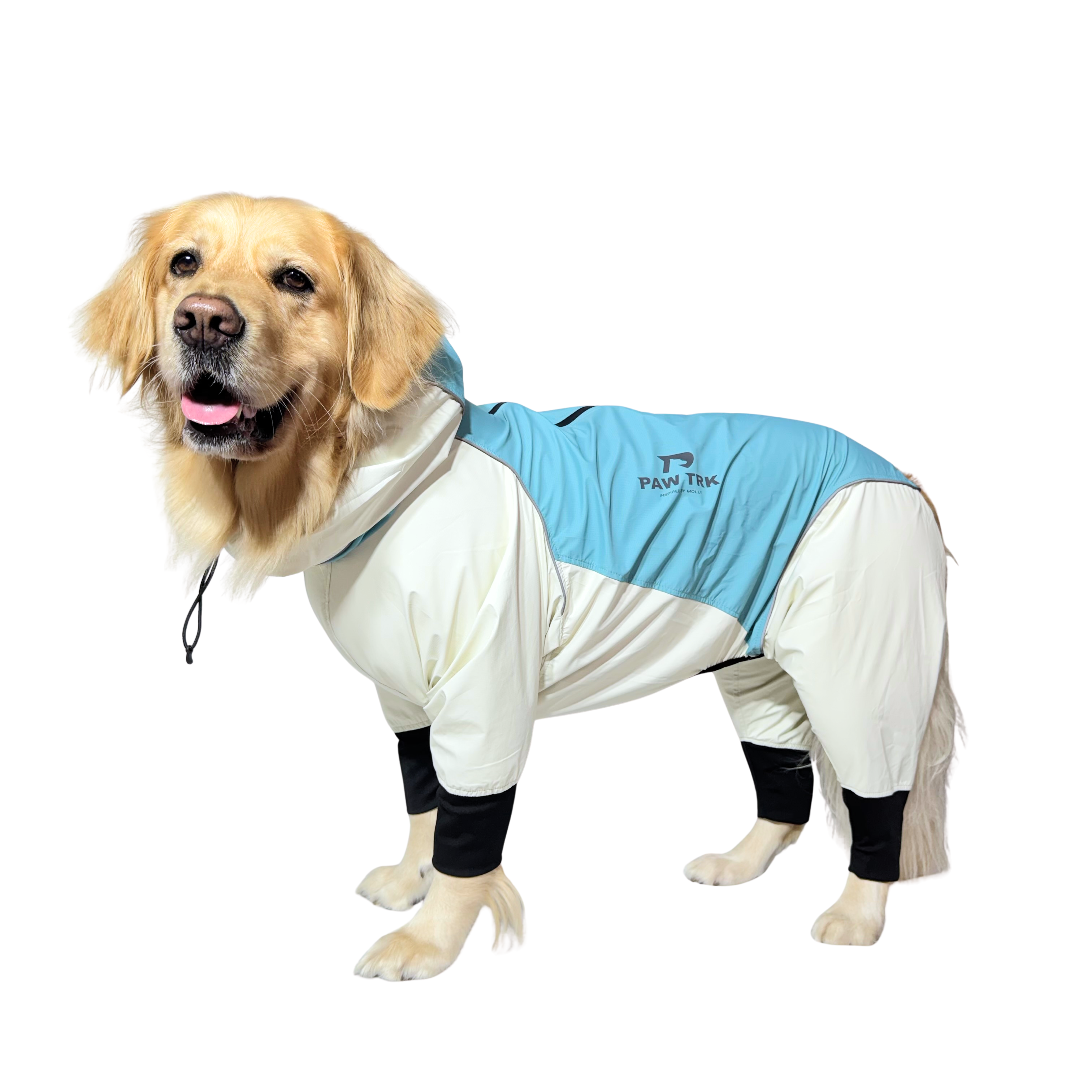 Trail X Series Limited Edition