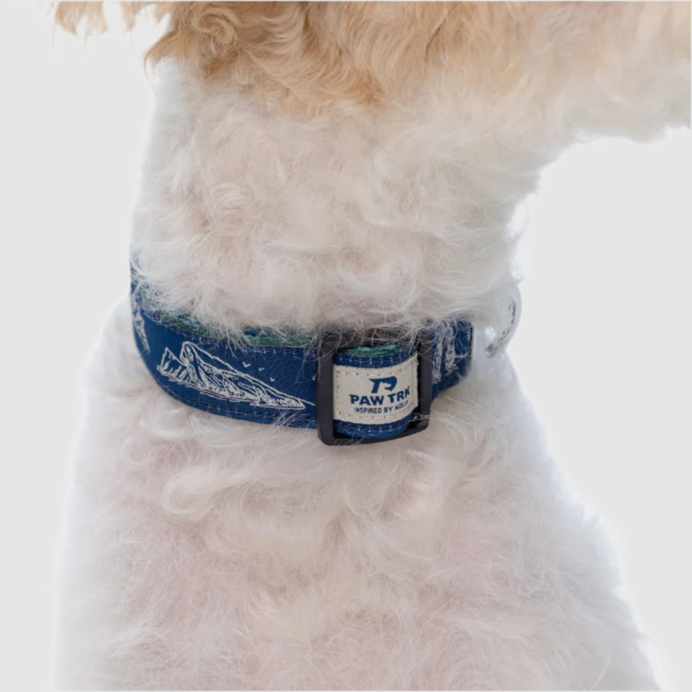 EverBark – Dog Collar – Ocean