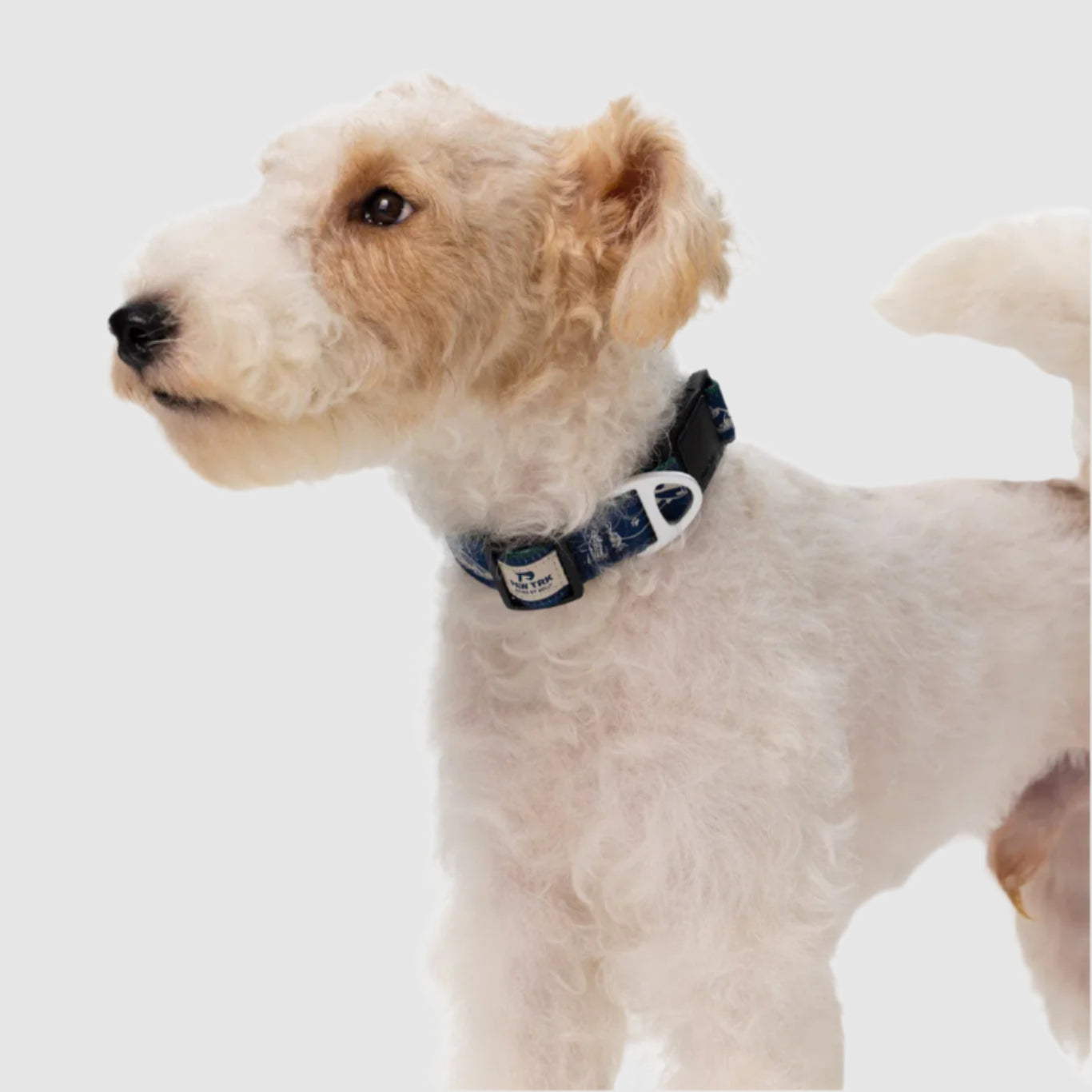 EverBark – Dog Collar – Ocean