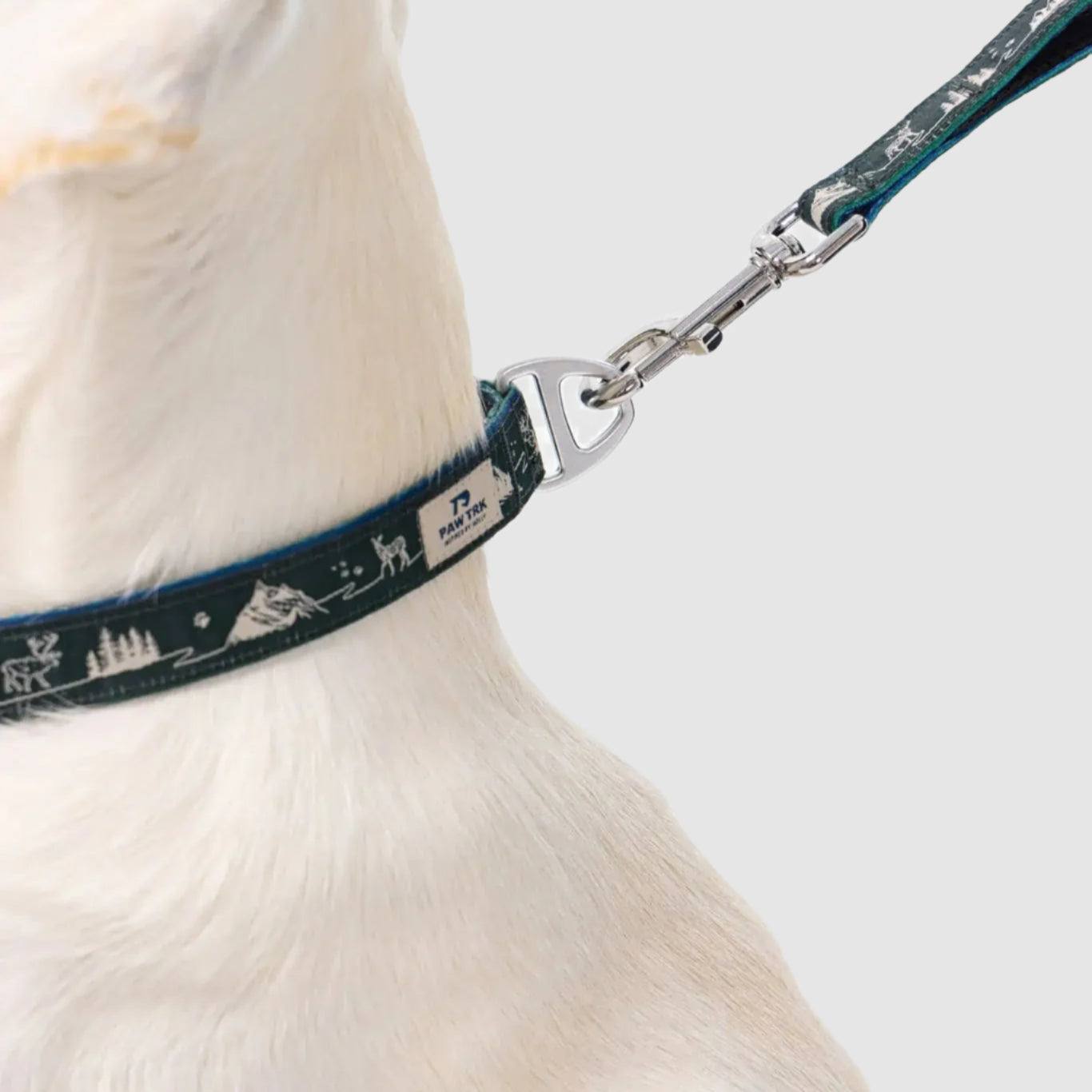 EverBark – Dog Collar – Forest