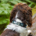 Load image into Gallery viewer, EverBark Collar
