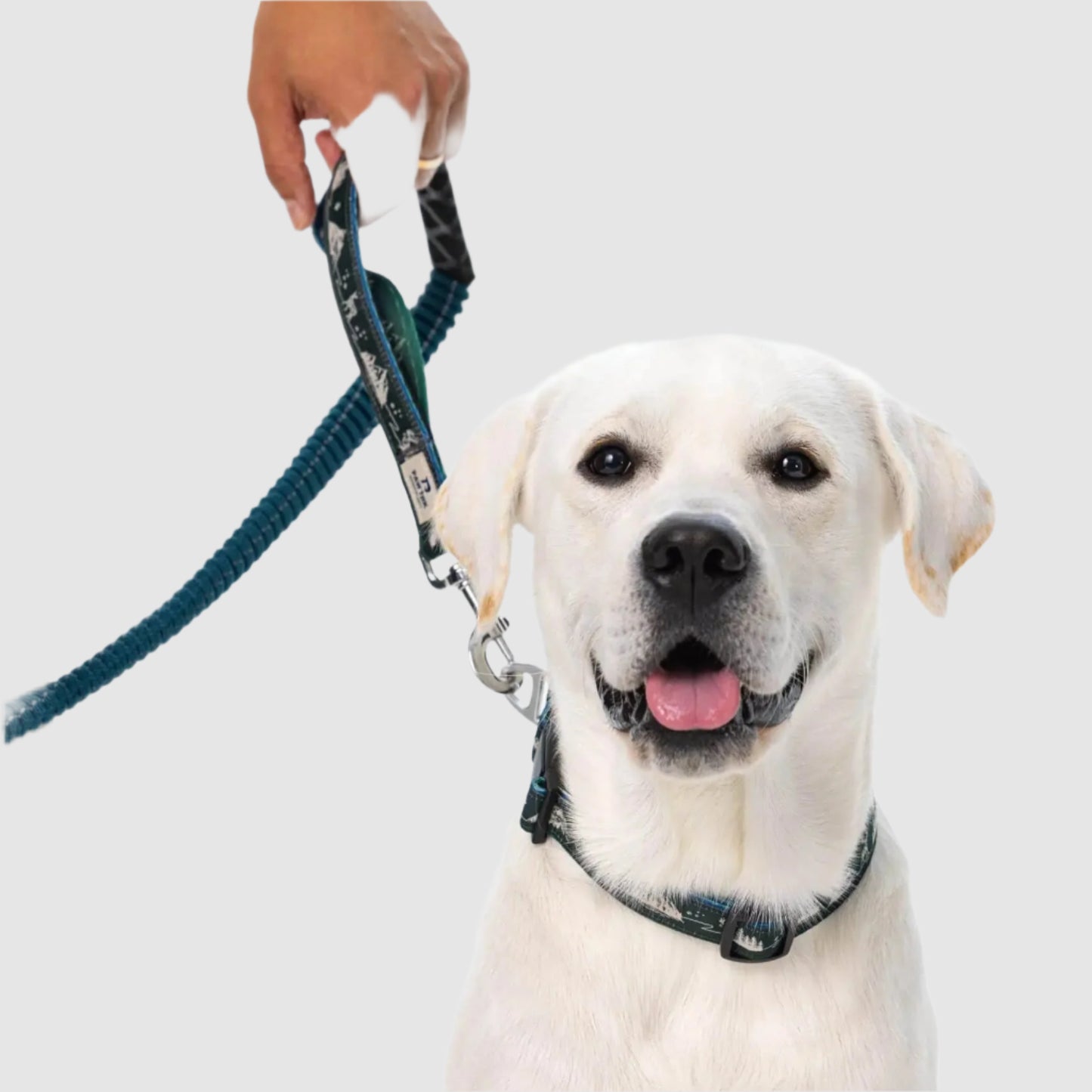 TrailLead 3 in 1 Leash – Forest