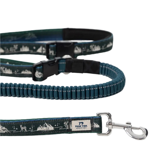 TrailLead 3 in 1 Leash – Forest