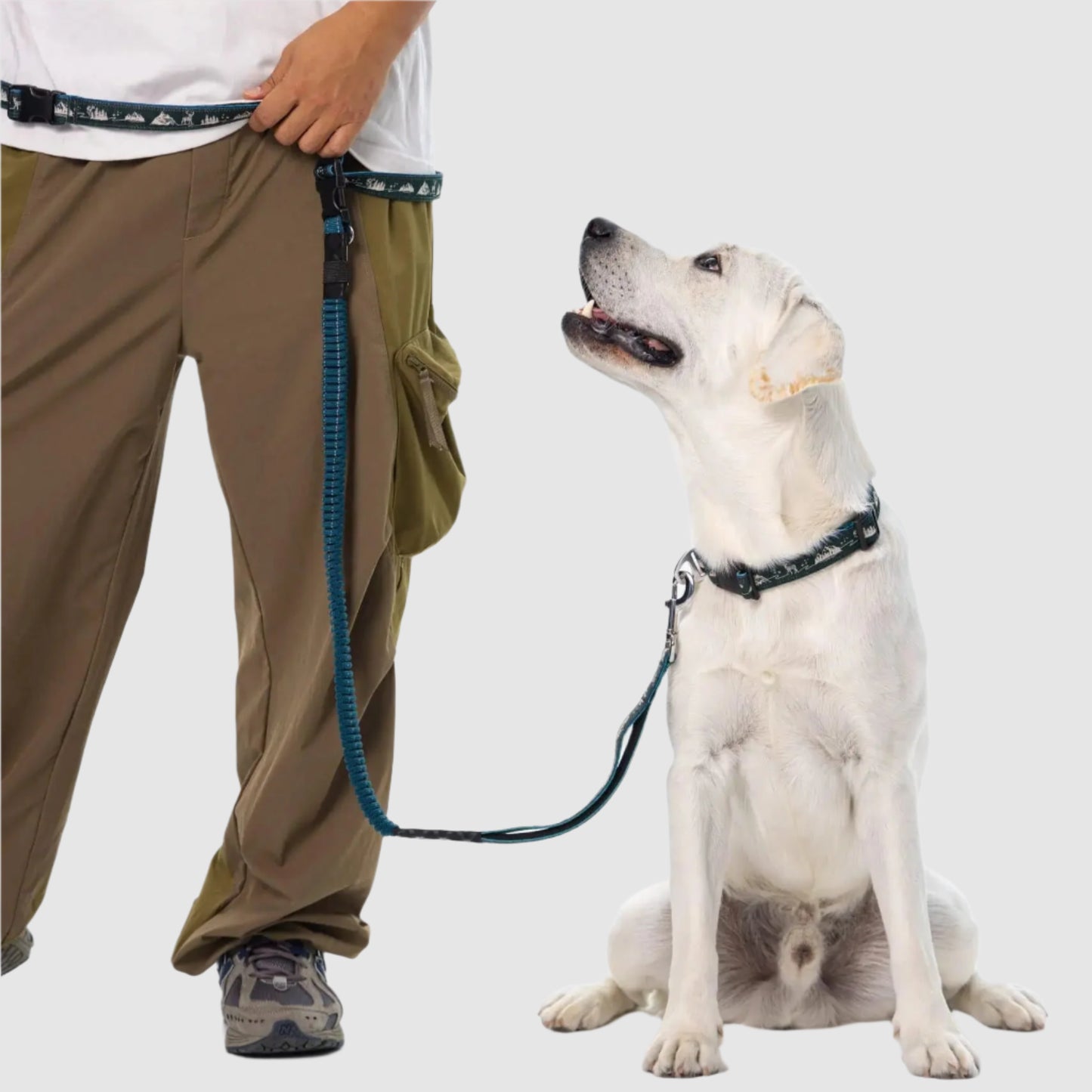 TrailLead 3 in 1 Leash – Forest