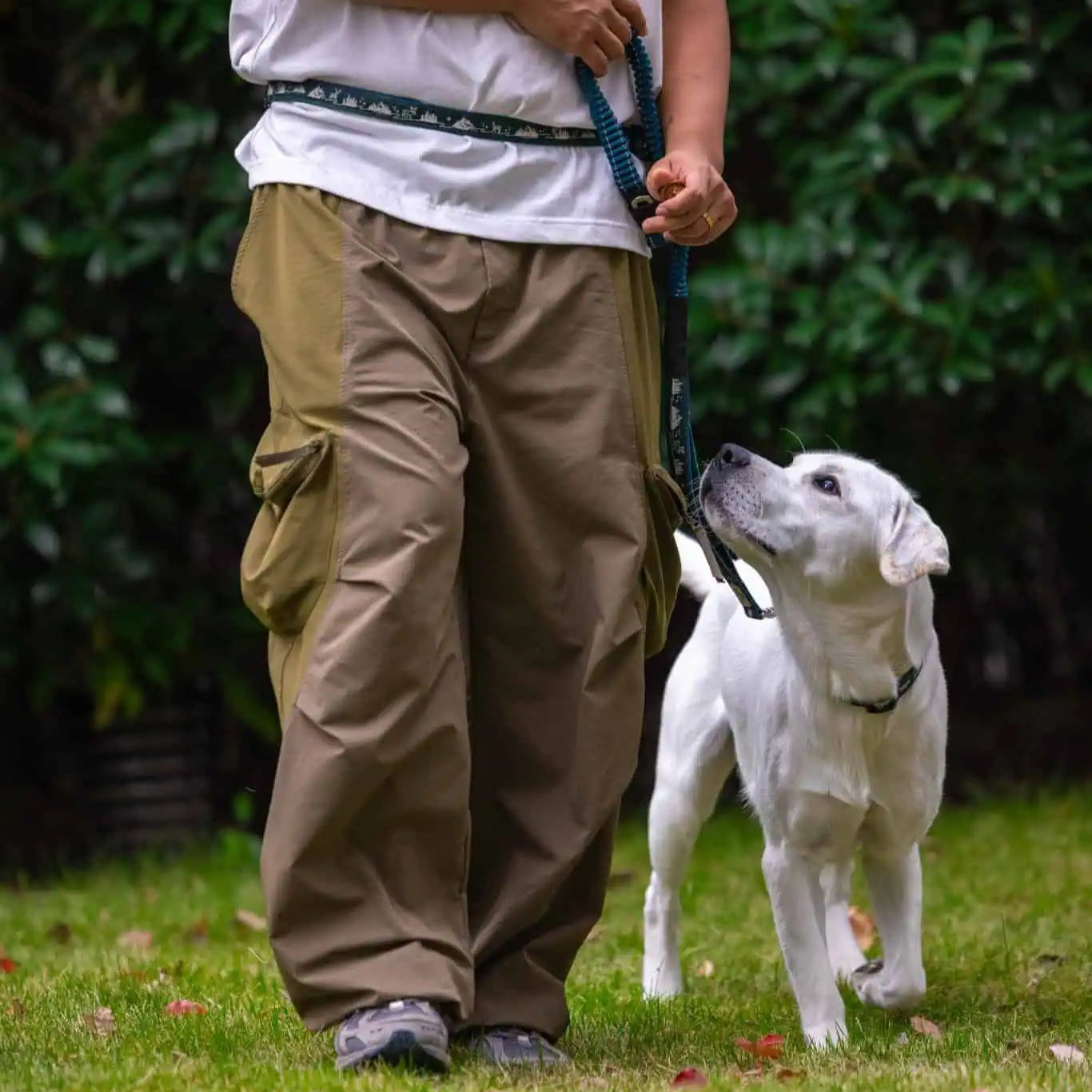 TrailLead 3 in 1 Leash – Forest