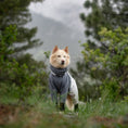 Load image into Gallery viewer, (Rainier)
