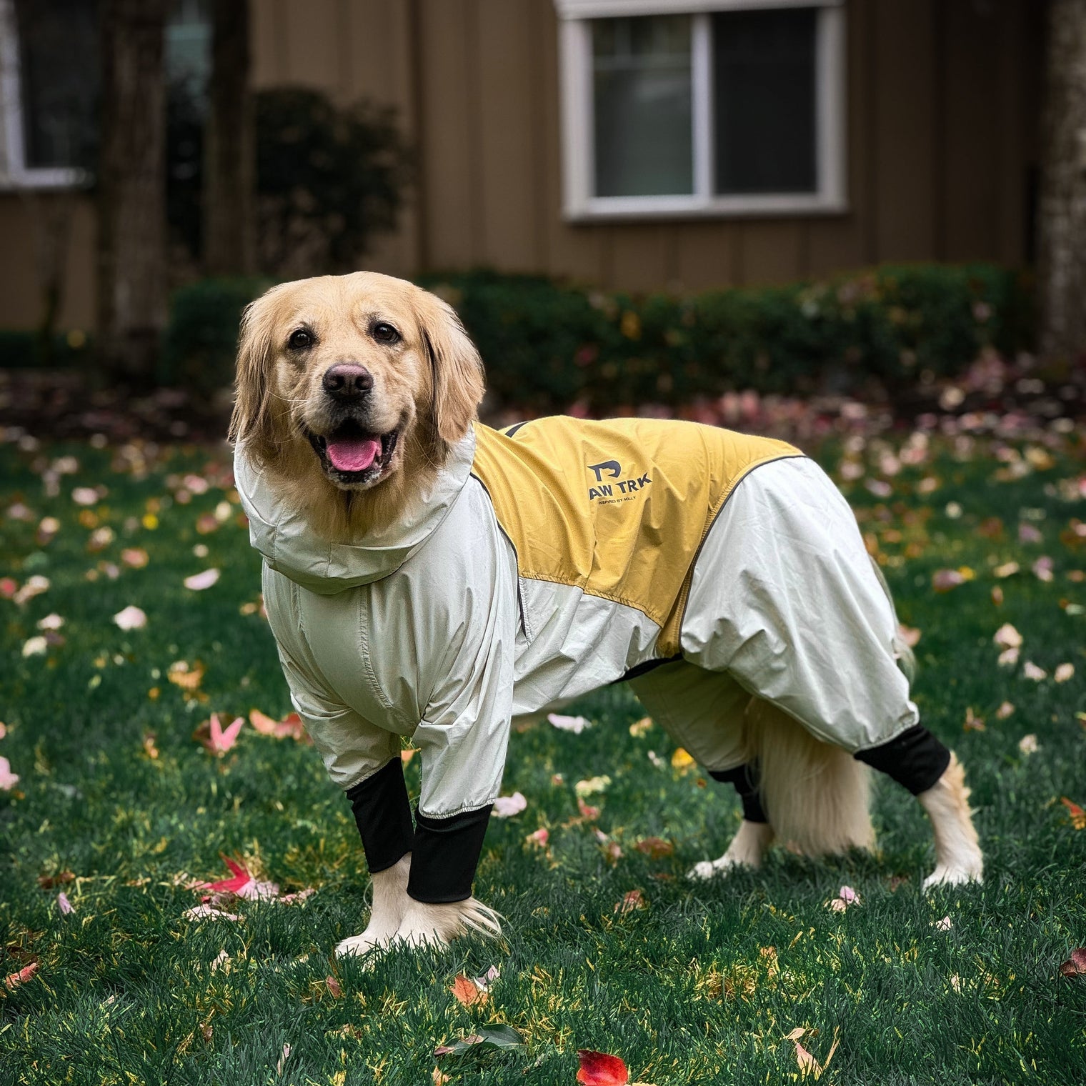 How to Wash a Dog Rain Jacket Without Ruining the Waterproofing