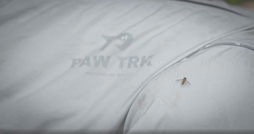 Insect Repellent for Dogs: How to Protect Your Dog on the Trail