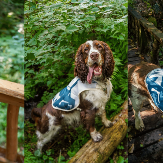 TrailBreeze Cooling Vest