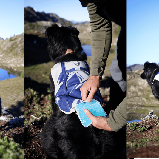 TrailBreeze Cooling Vest