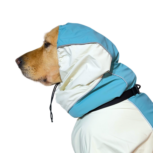 Trail X Series Limited Edition