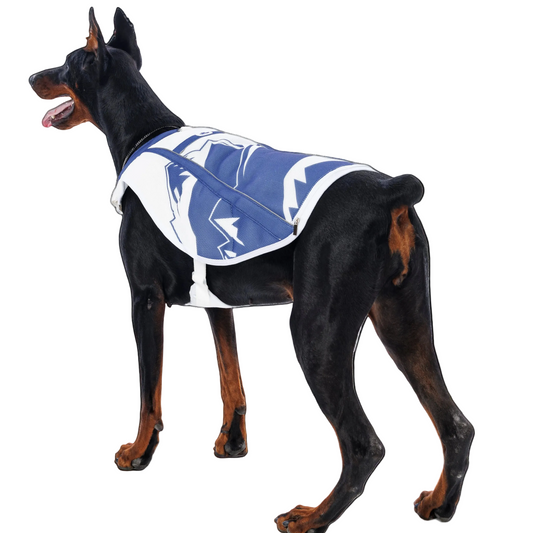 TrailBreeze Cooling Vest