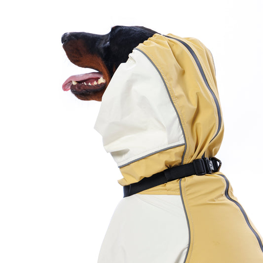 Trail X Series Limited Edition