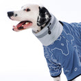 Load image into Gallery viewer, Trail Topo Winter Jacket
