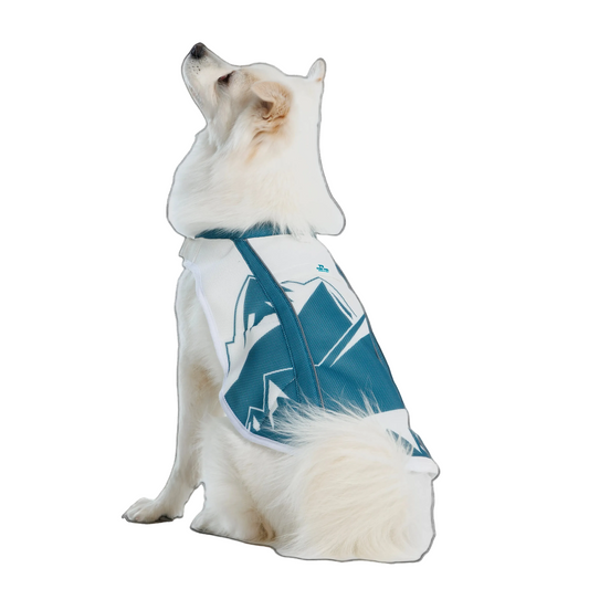 TrailBreeze Cooling Vest