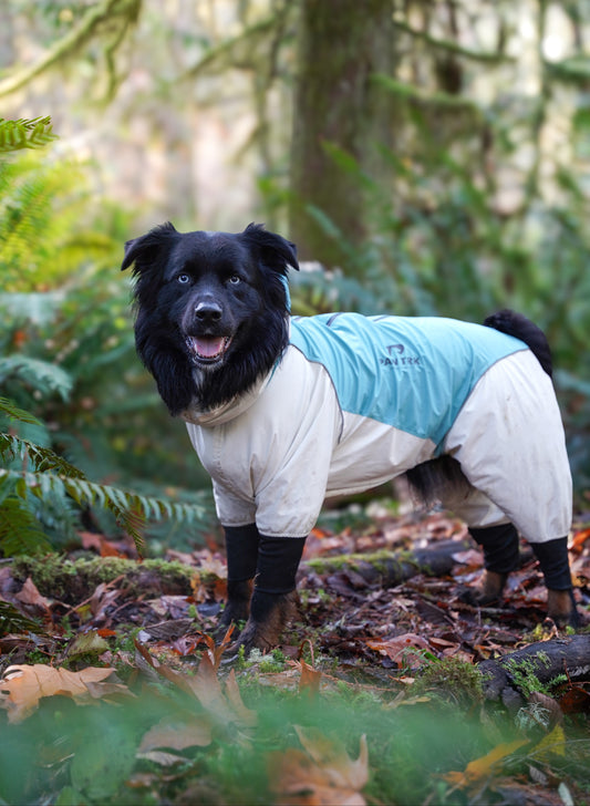 Trail X Series Limited Edition