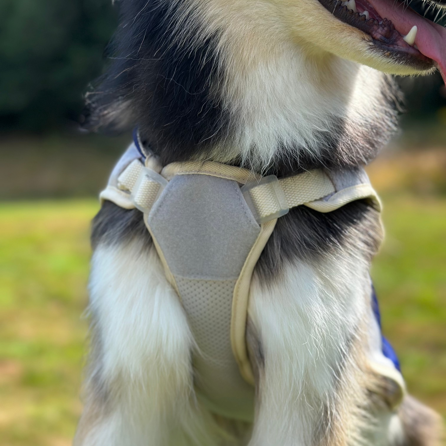 TrailBreeze Cooling Vest - Baker