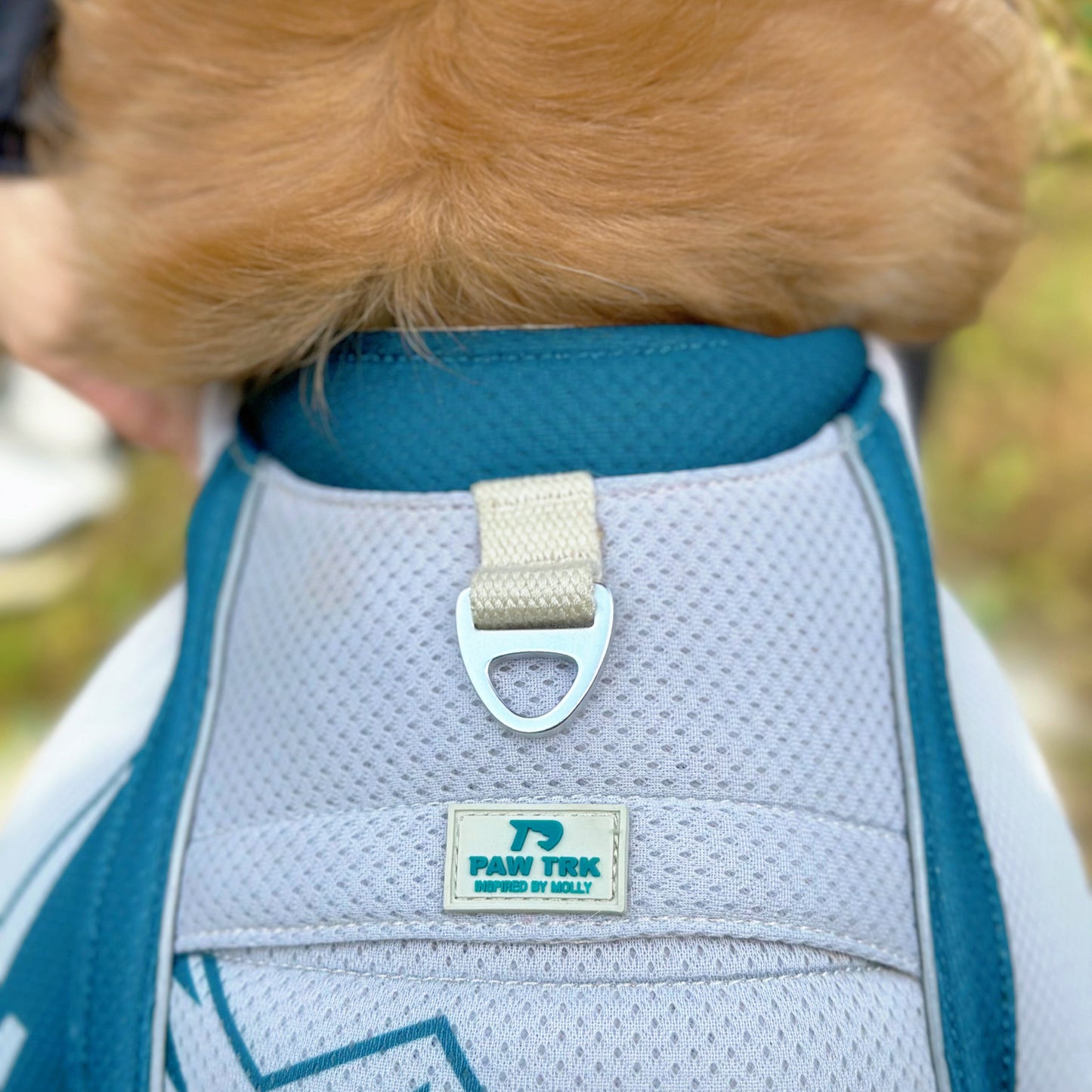 TrailBreeze Cooling Vest - Diablo