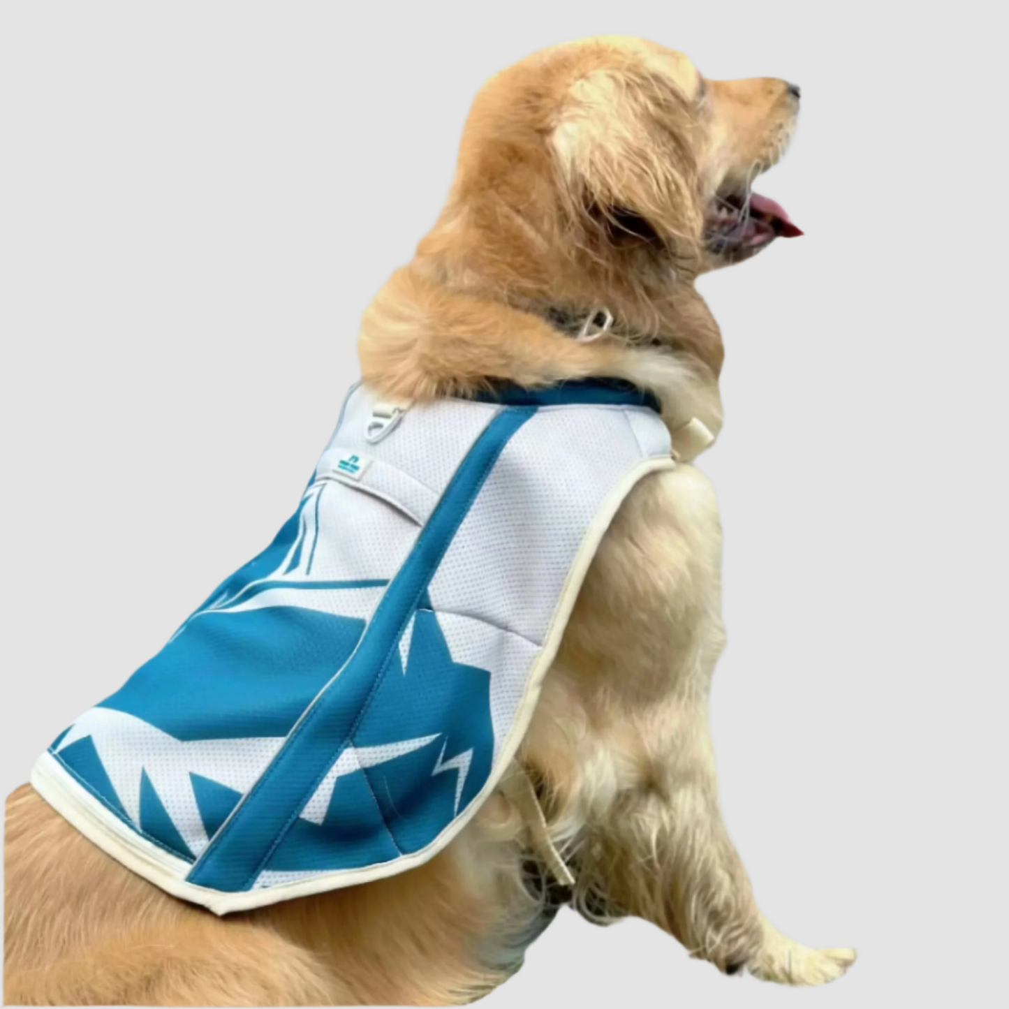 TrailBreeze Cooling Vest - Diablo