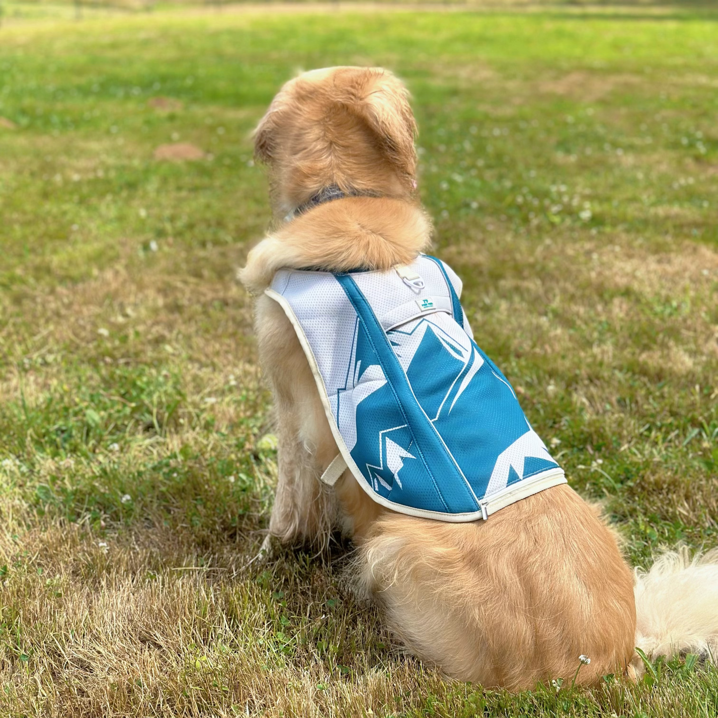 TrailBreeze Cooling Vest - Diablo