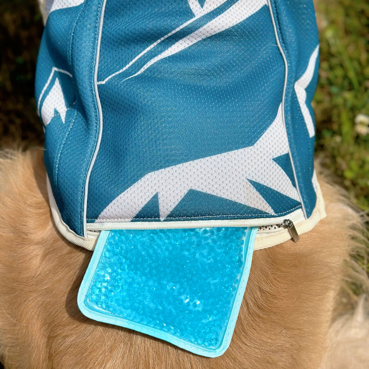 TrailBreeze Cooling Vest - Diablo