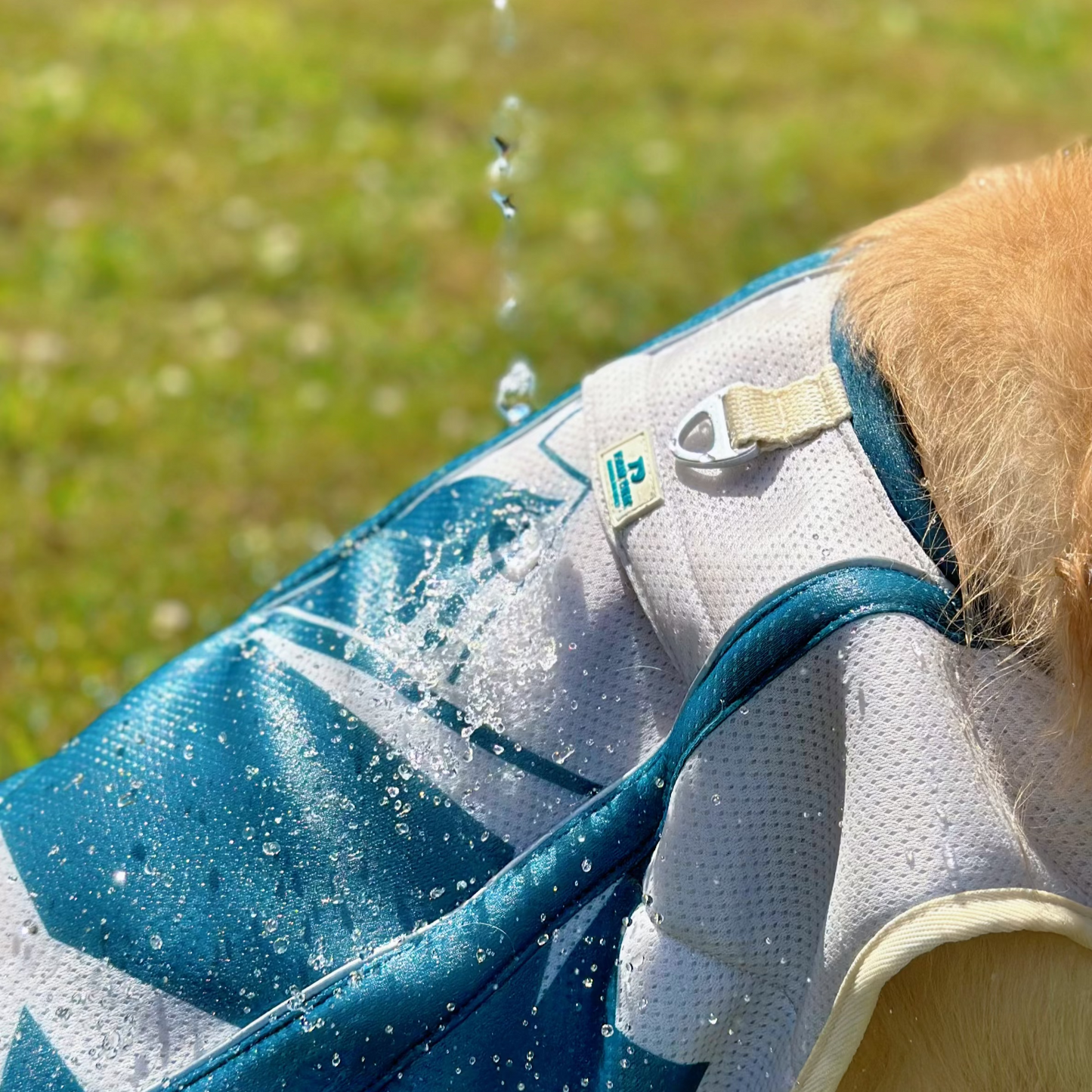 TrailBreeze Cooling Vest - Diablo
