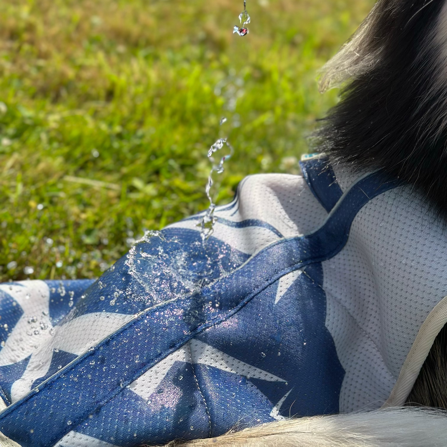 TrailBreeze Cooling Vest - Baker