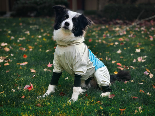 Trail X Series Limited Edition