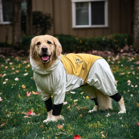 Trail X Series Limited Edition