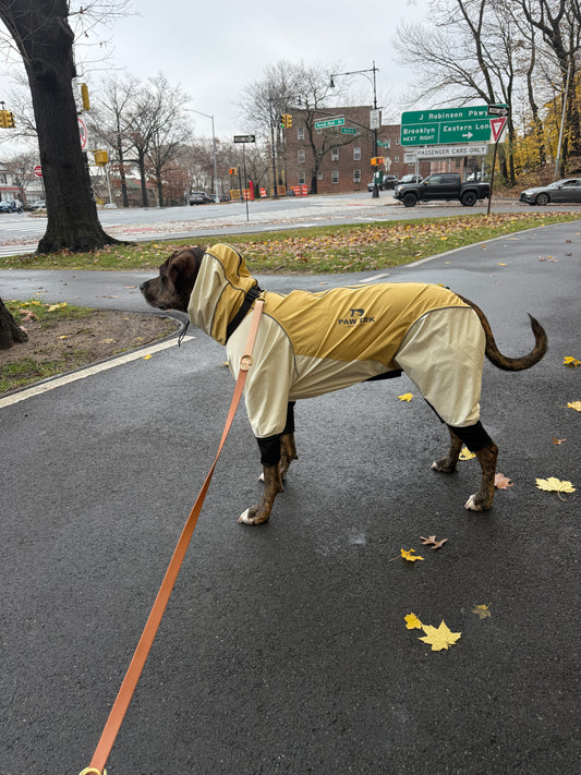 Trail X Series Limited Edition