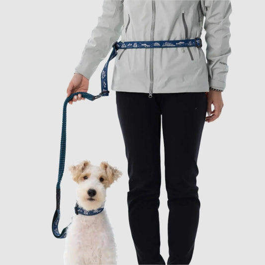 TrailLead 3 in 1 Leash
