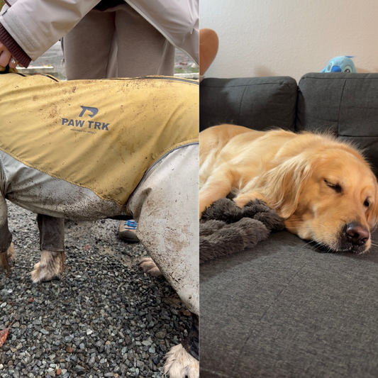 Trail X Series Limited Edition